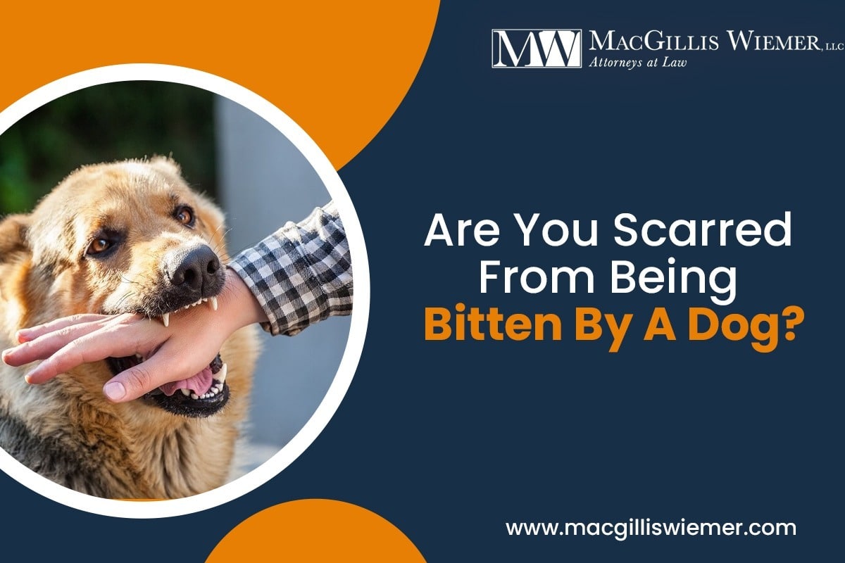 Are You Scarred From Being Bitten By A Dog
